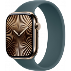 Умные часы Apple Watch Series 10 GPS + Cellular 46mm Titanium Gold Case with Lake Green Solo Loop Band