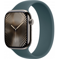 Умные часы Apple Watch Series 10 GPS + Cellular 46mm Titanium Natural Case with Lake Green Solo Loop Band