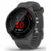 Умные часы Garmin Forerunner 55 Montera Gray