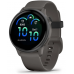 Часы Garmin Vivoactive 6 Slate with Pebble Gray Band
