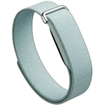 Фитнес-трекер Google Fitbit Air Moonstone (Фарфор)
