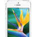 Apple iPhone 5 32Gb White (белый) 