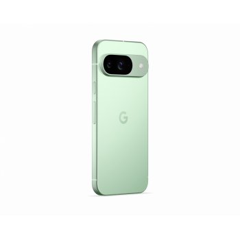 Смартфон Google Pixel 9 12/128GB Wintergreen (Зеленый)