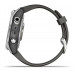 Умные часы Garmin Fenix 7S Stainless Steel w/Graphite Band (010-02539-01)