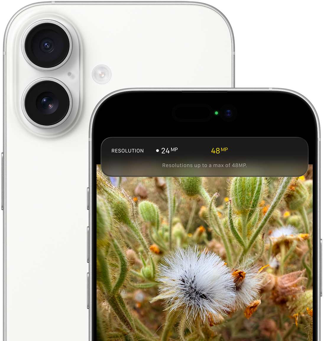 Камера iPhone 17 White и экран с настройками разрешения 24 и 48 Мп