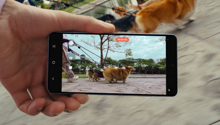 Рука держит Samsung Galaxy S26, снимая видео идущих по улице собак корги